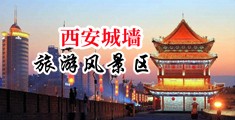 找一下黄色操逼中国陕西-西安城墙旅游风景区